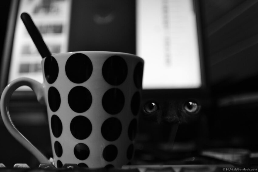 wpHakka.com.br, underground guerrilla, wp's media library is a joke, we fix it