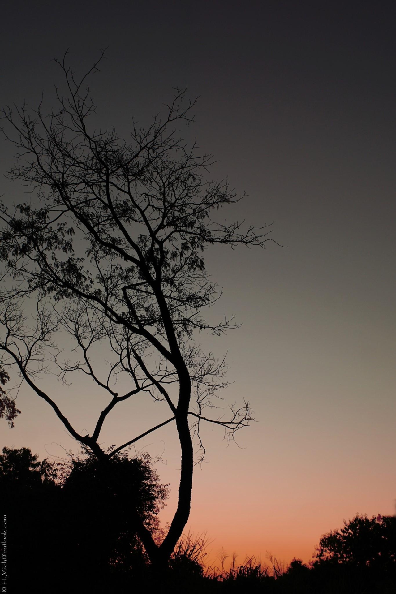 wpHakka.com.br, underground guerrilla, wp's media library is a joke, we fix it 